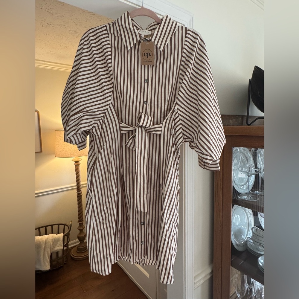 Entro Brown and White Striped Shirt Dress